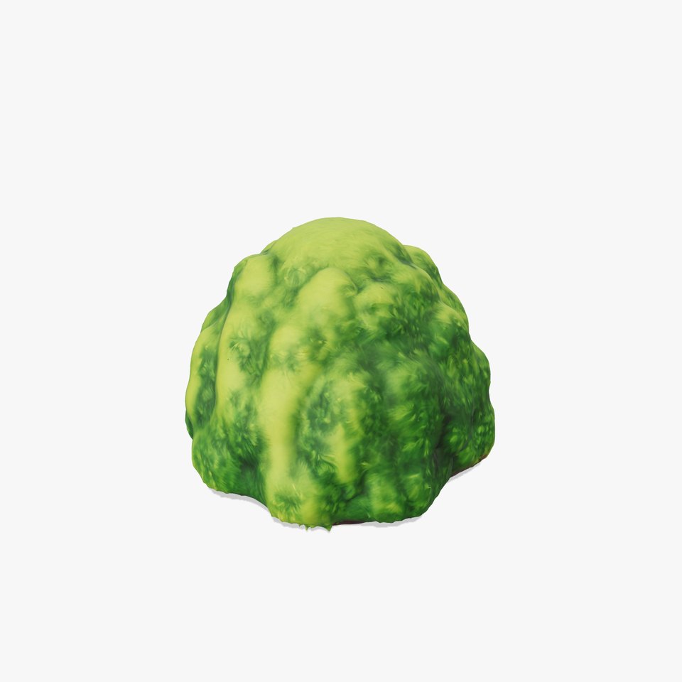 Lush Green Moss model pack